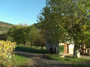 La chapelle des 14 Saints auxiliaires